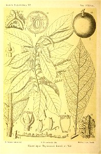 n213_w1150
