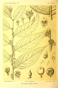 n209_w1150