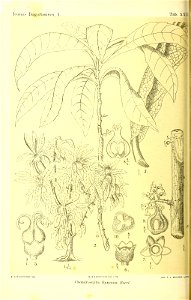 n143_w1150