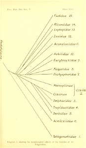n292_w1150