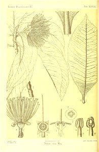 n537_w1150