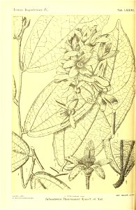 n457_w1150