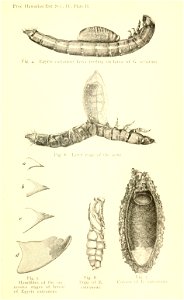n96_w1150