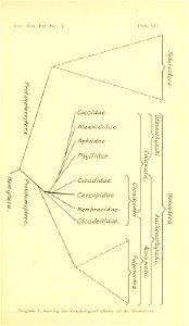 n290_w1150
