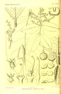 n445_w1150