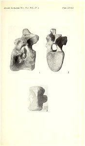 n398_w1150