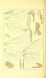 n533_w1150