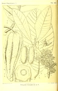 n127_w1150
