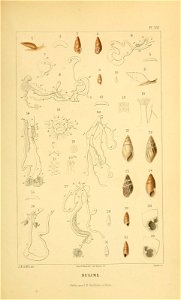 n142_w1150