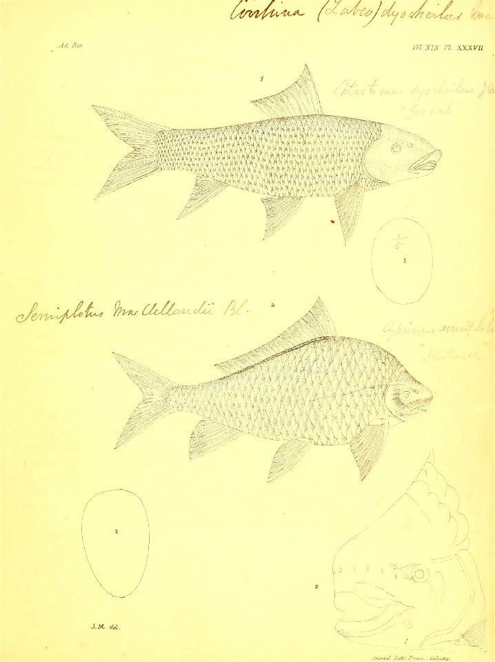 n110_w1150