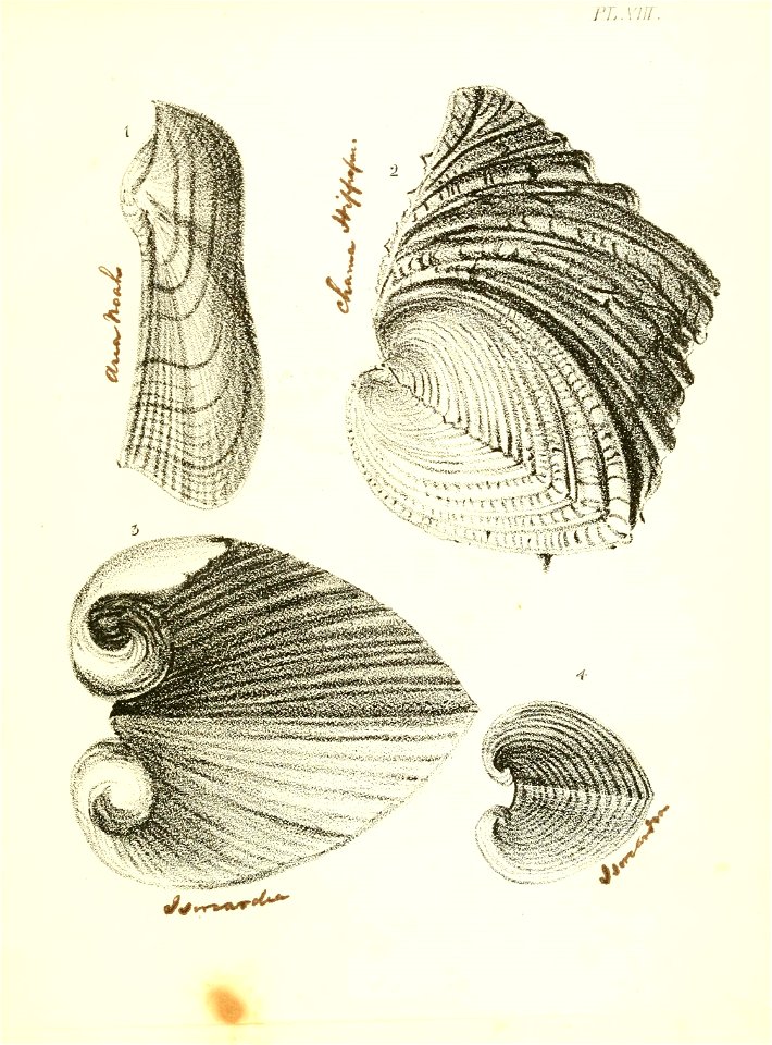 n230_w1150