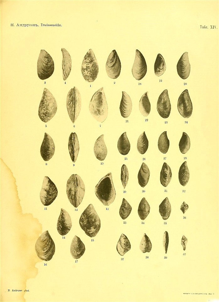 n46_w1150