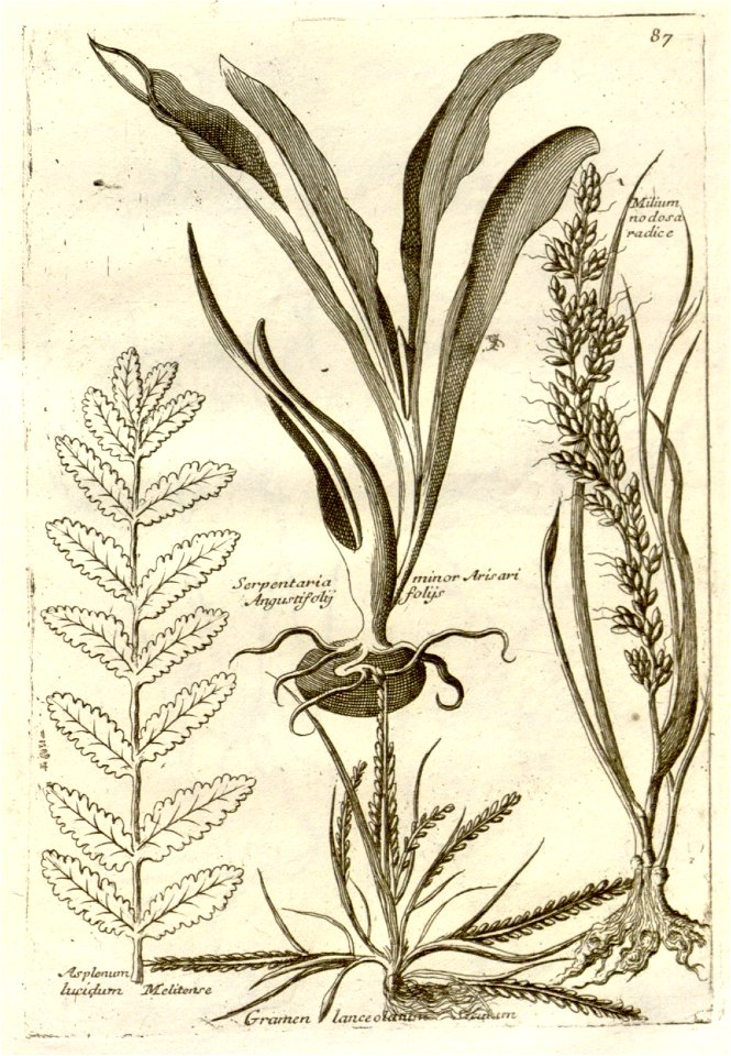 n292_w1150