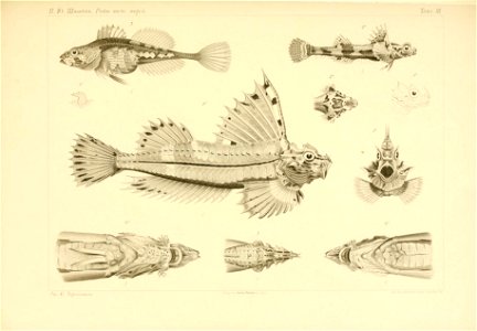 n490_w1150