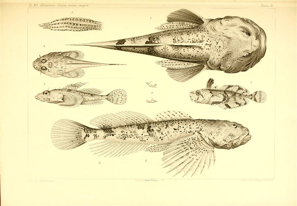 n488_w1150