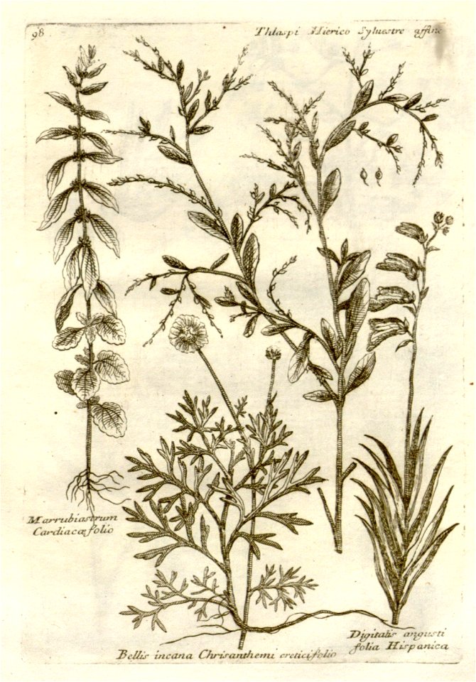 n303_w1150