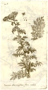 n230_w1150