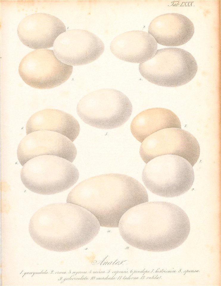 n164_w1150