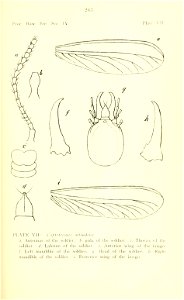 n302_w1150
