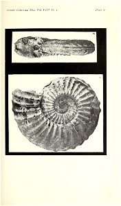 n116_w1150