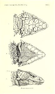 n570_w1150
