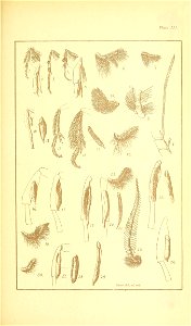 n516_w1150