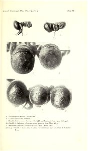 n152_w1150