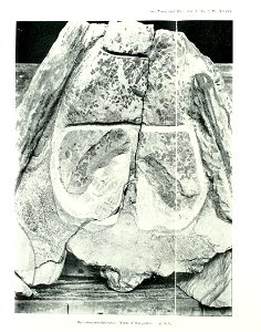 n512_w1150