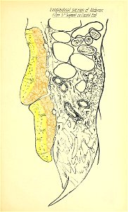 n98_w1150