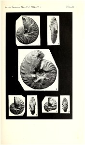 n114_w1150