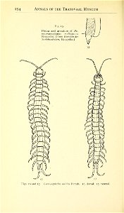 n561_w1150