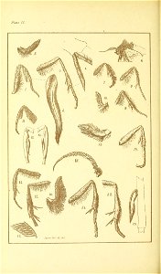n513_w1150