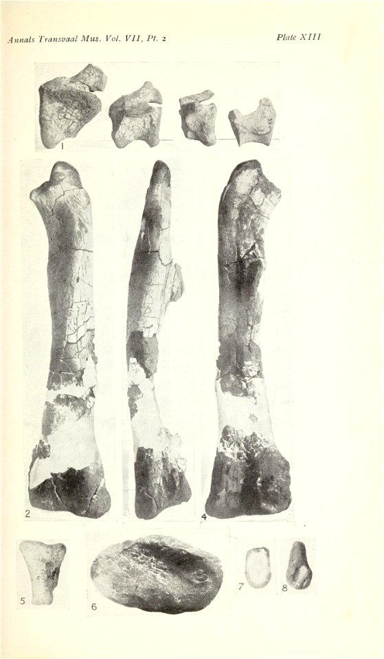 n378_w1150
