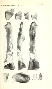 n378_w1150