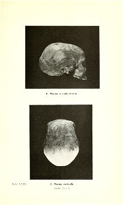 n302_w1150