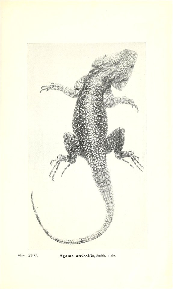 n256_w1150