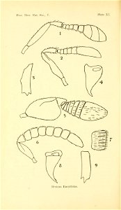 n379_w1150