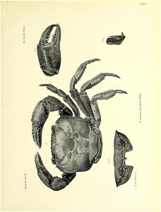 n382_w1150