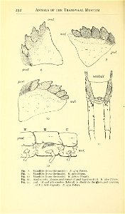 n559_w1150