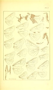 n512_w1150