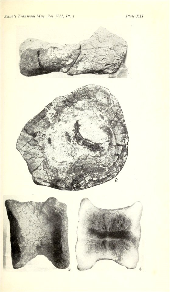 n376_w1150