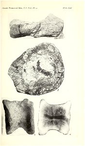 n376_w1150