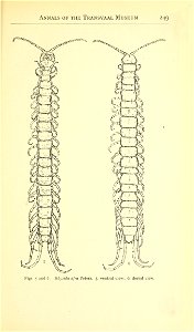 n556_w1150