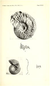 n414_w1150