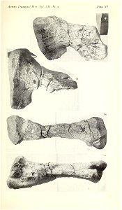 n374_w1150