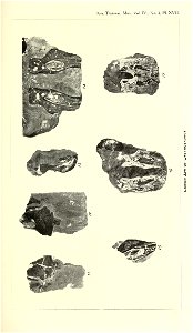 n304_w1150