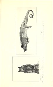 n256_w1150