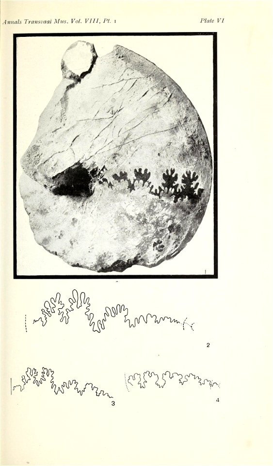 n108_w1150