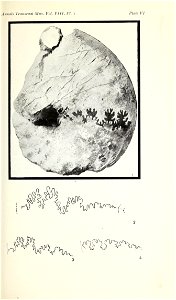 n108_w1150