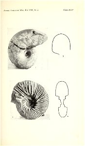 n412_w1150